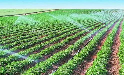 艹逼片农田高 效节水灌溉